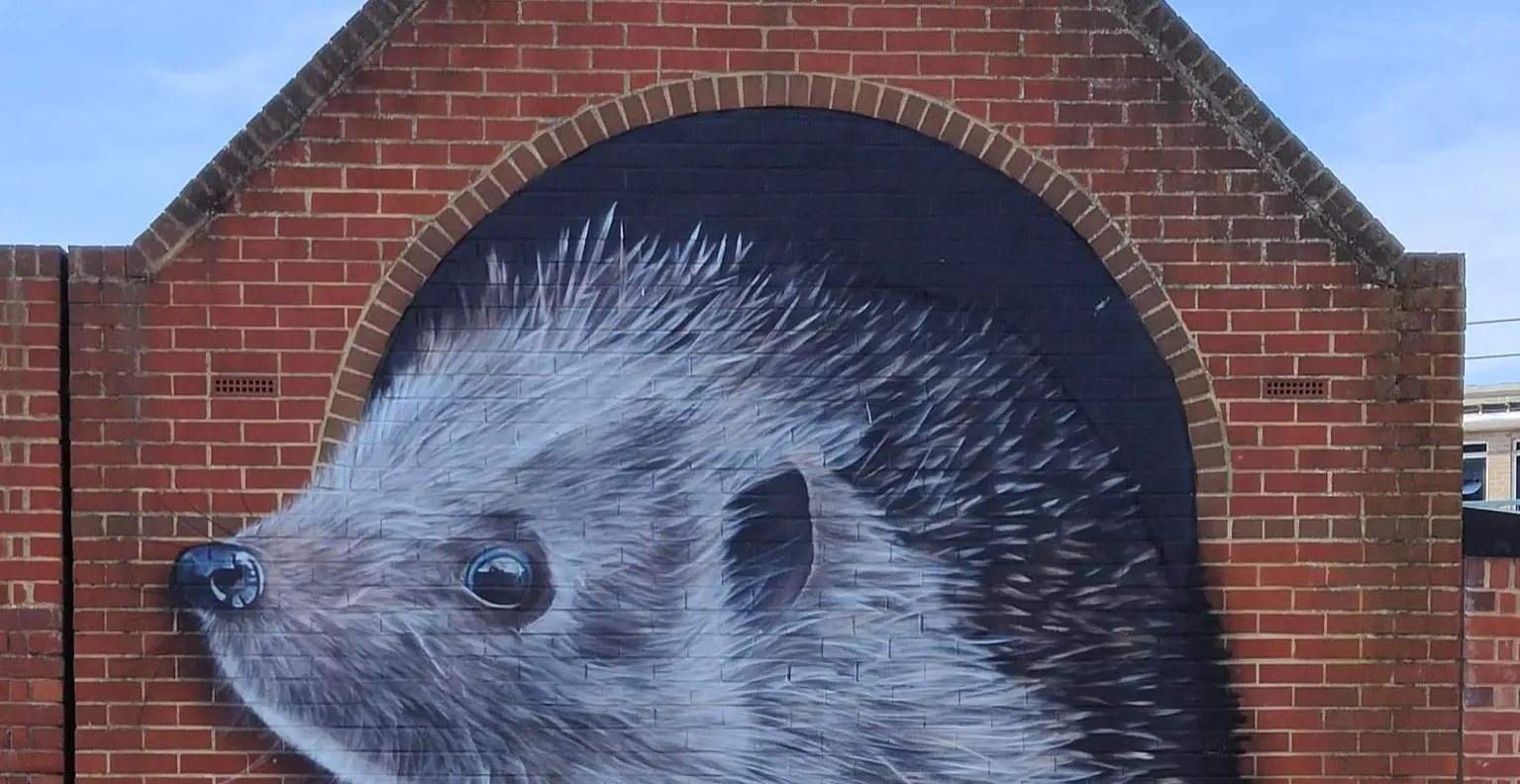 Large mural on brick wall depicting a hedgehog
