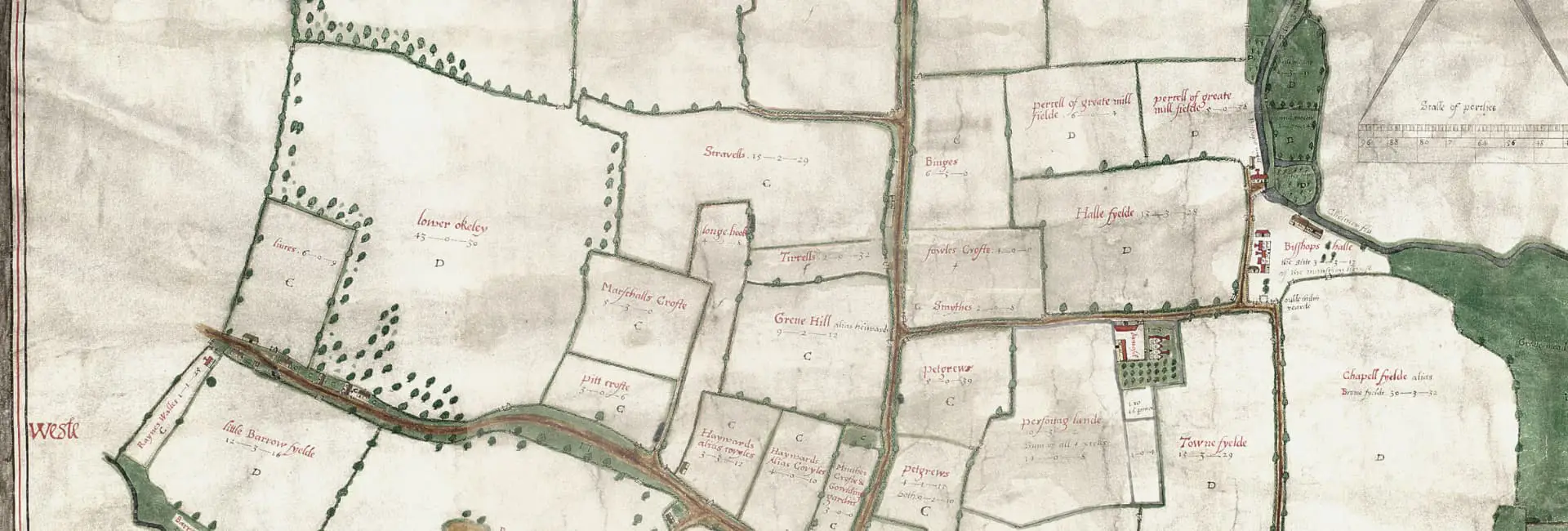 On the Road with Chelmsford Museum graphic