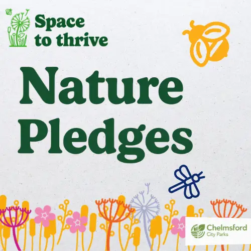 Nature Pledge Ccc Homepage